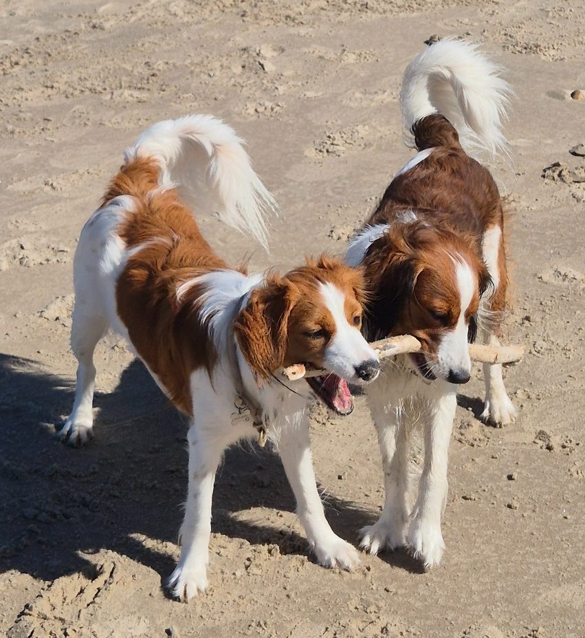 Bonnie und Ida